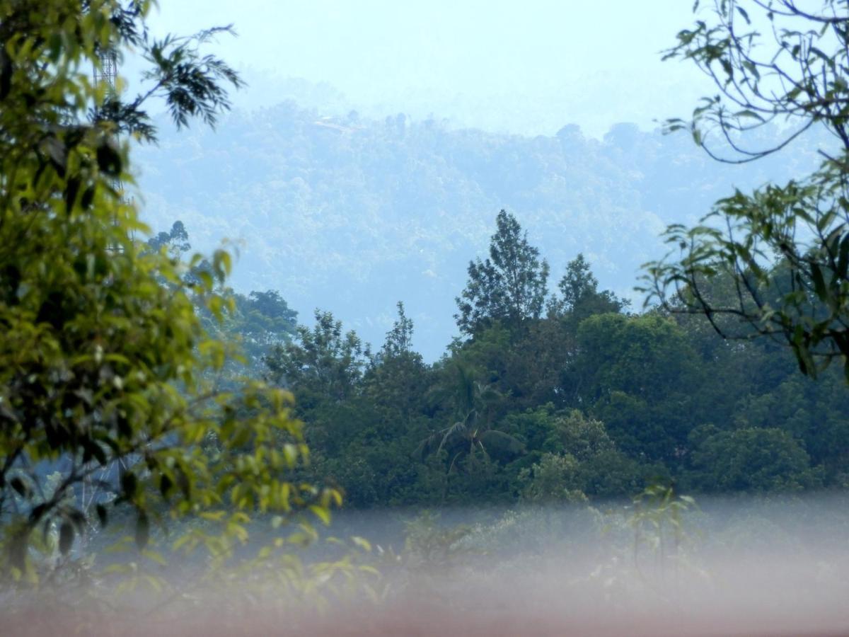 Drizzle Valley Cottage Munnar Εξωτερικό φωτογραφία