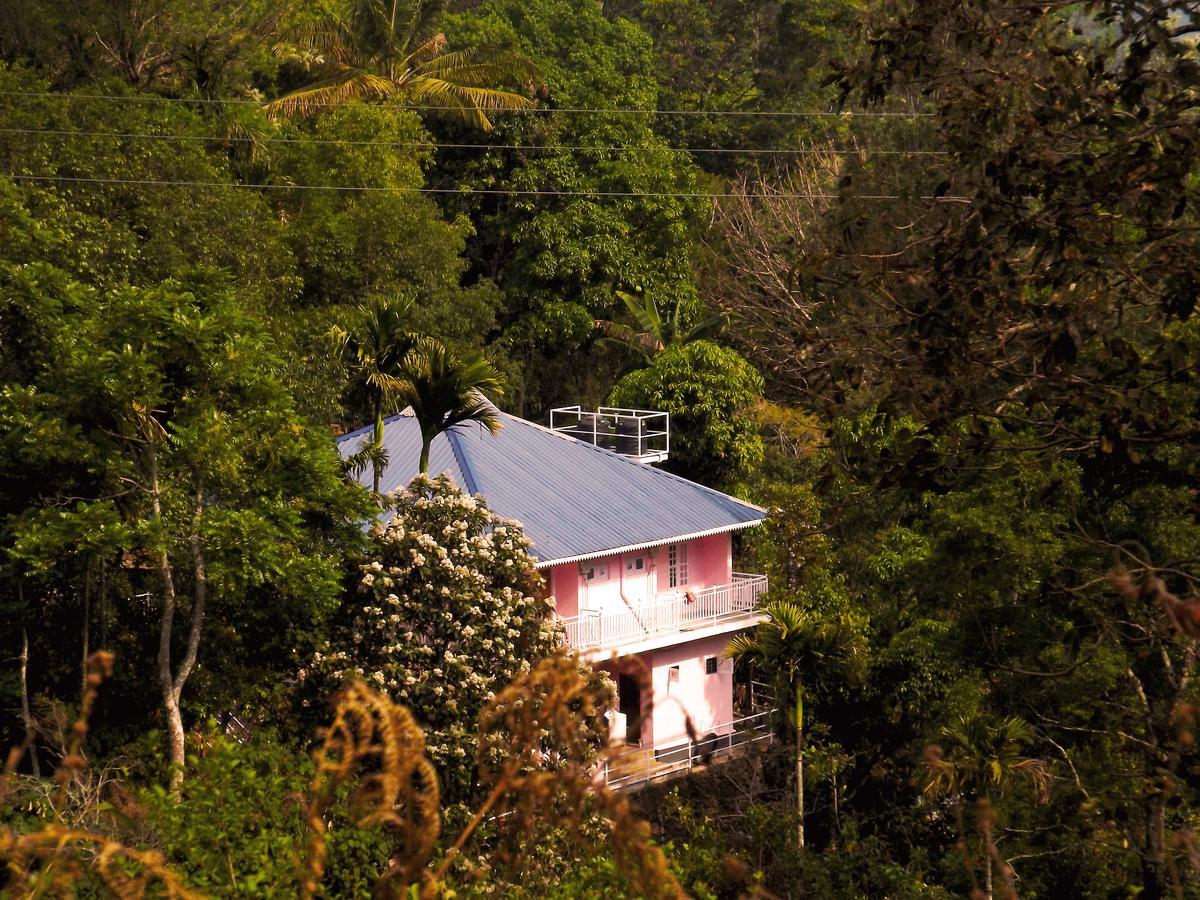 Drizzle Valley Cottage Munnar Εξωτερικό φωτογραφία